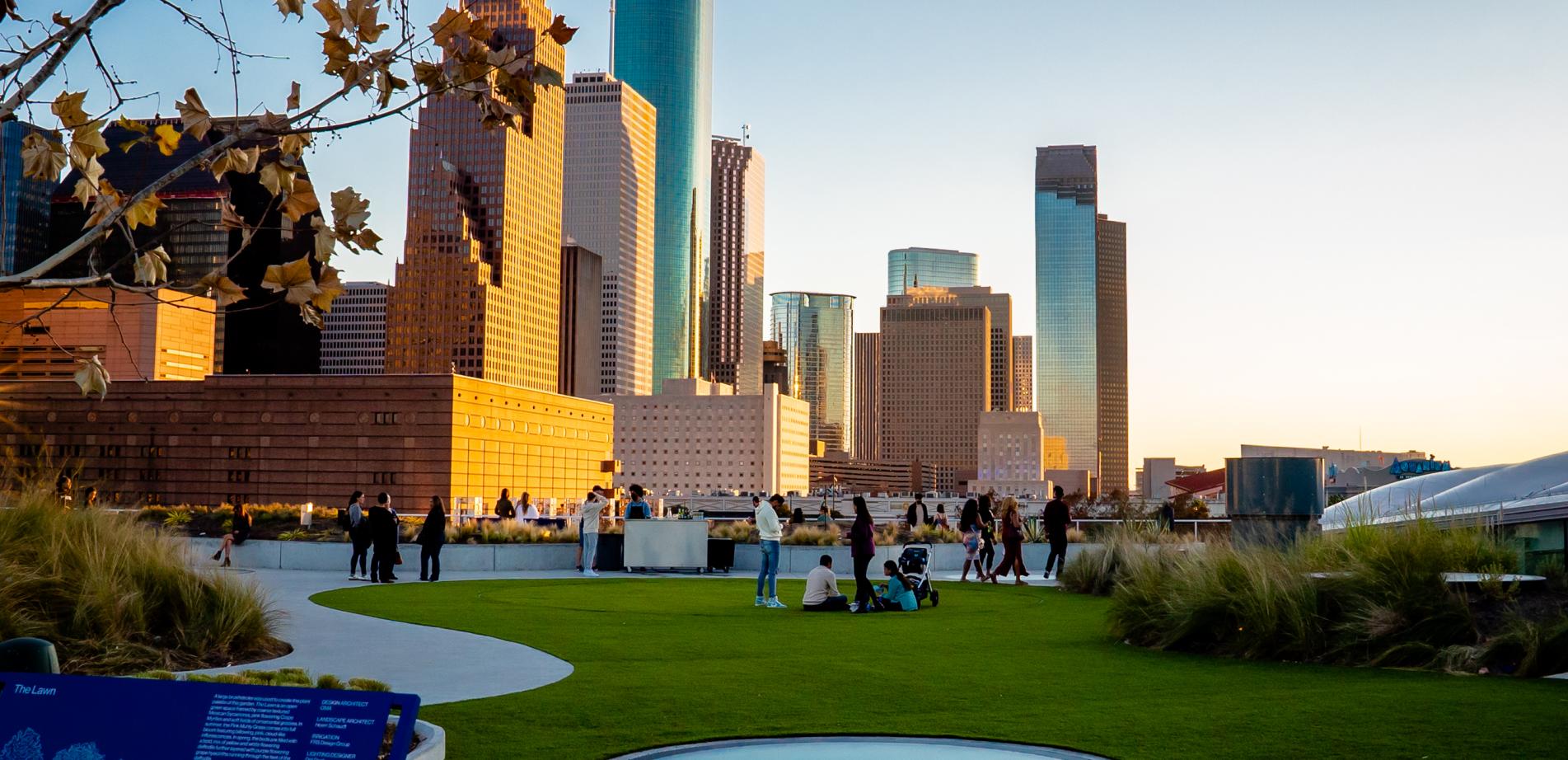 Business Coach in Houston