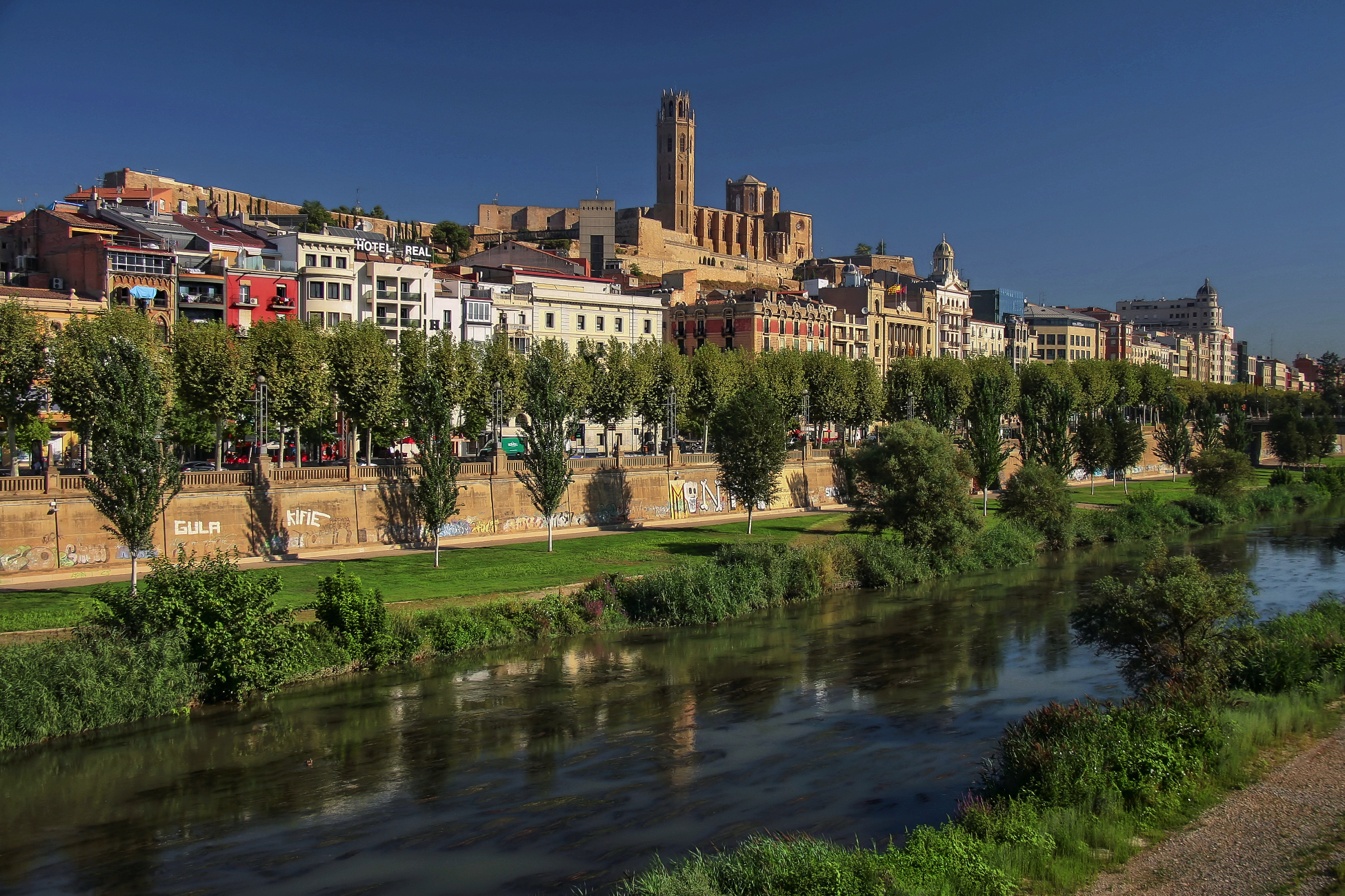 Coach Laboral en Lleida